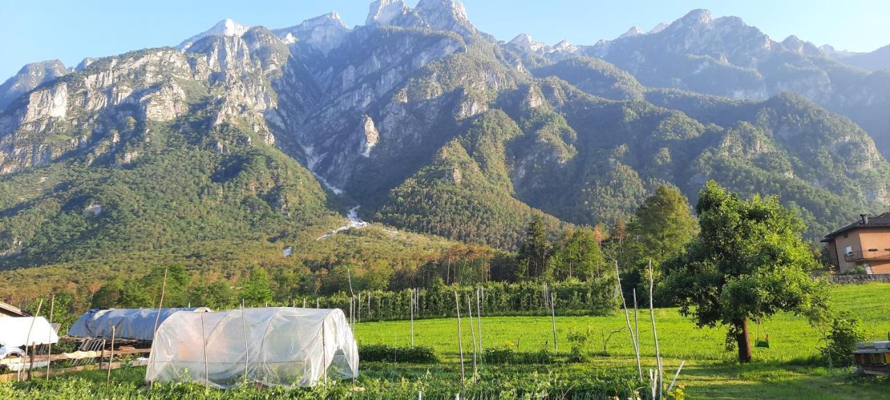 B&B La Casa In Campagna Ospedaletto  Exteriér fotografie